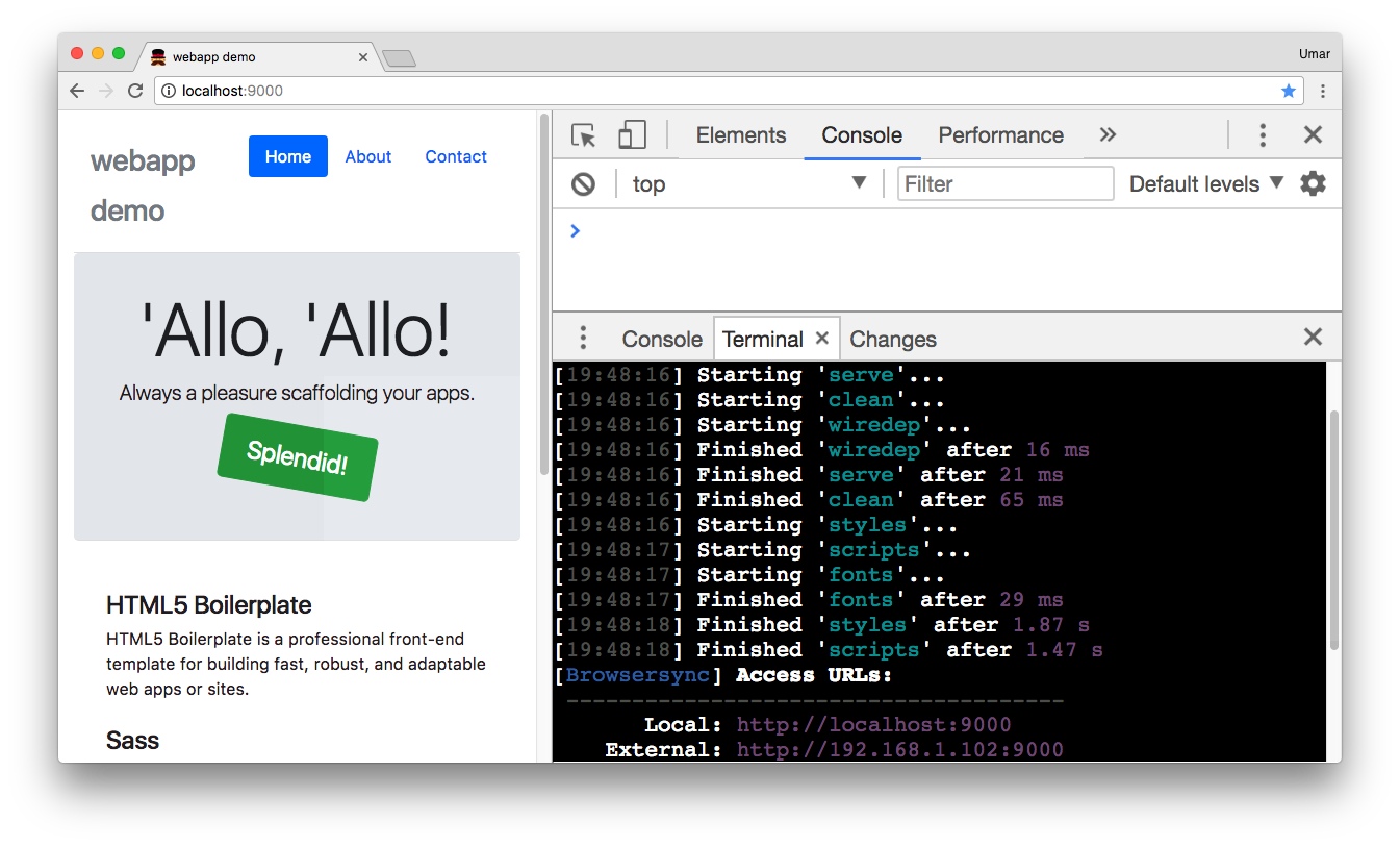 DevTools Terminal